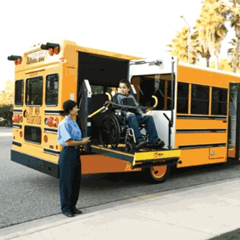 TITANIUM Wheelchair Lift